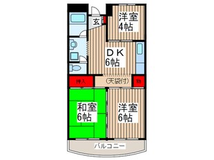 市川カトレアハイツ松塚の物件間取画像